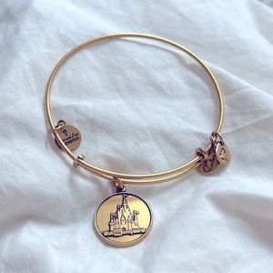 Alex and Ani charm bracelet